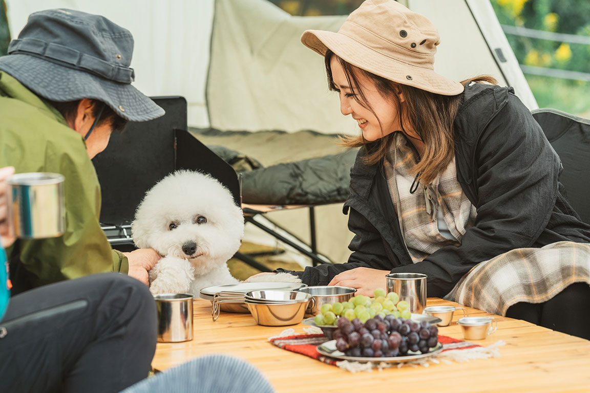 大型犬OK頭数制限なし